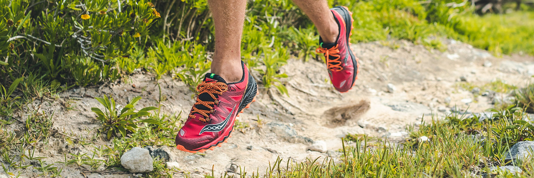 Saucony Peregrine 7