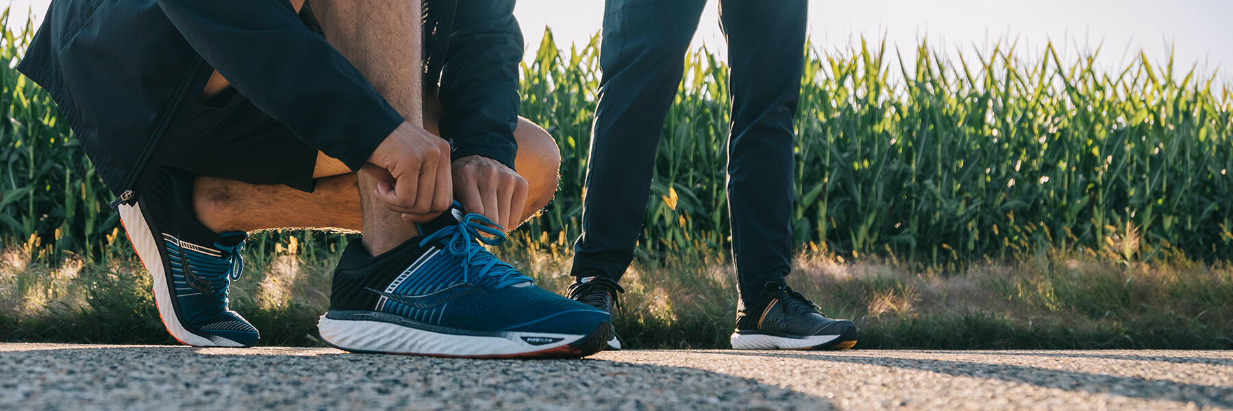 Saucony Triumph 17