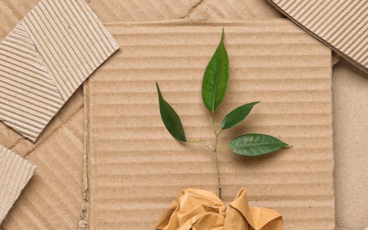 A plant growing out of a brown paper.