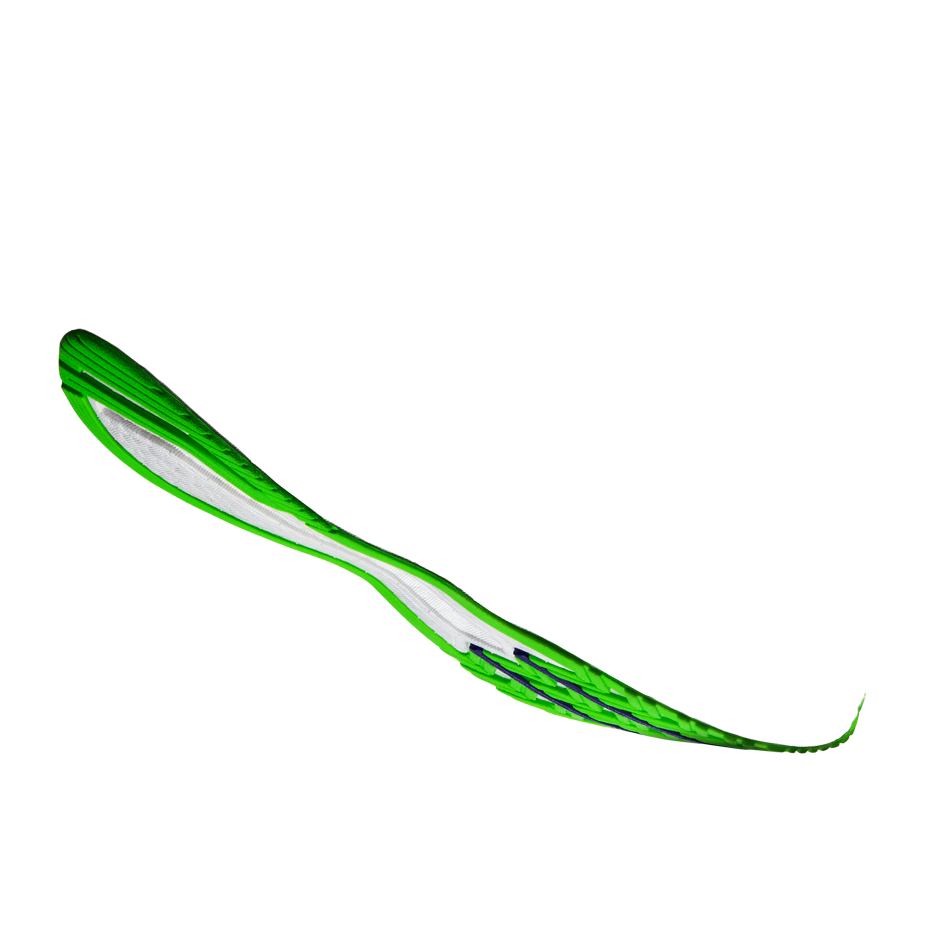 sole