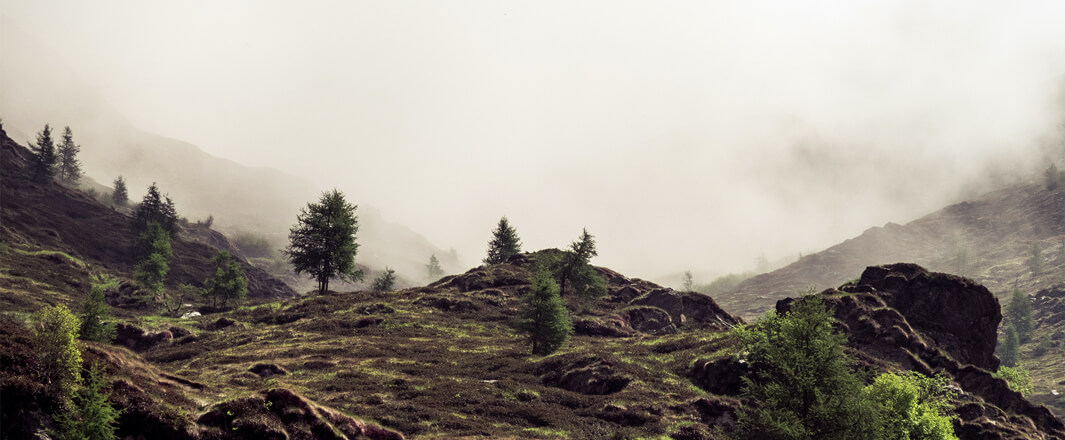 Which trail running shoe is right for me?