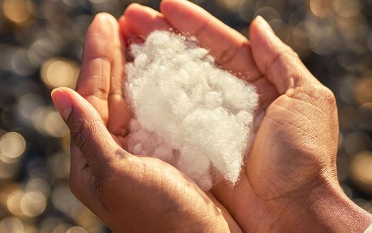 A close-up of hands holding cotton.