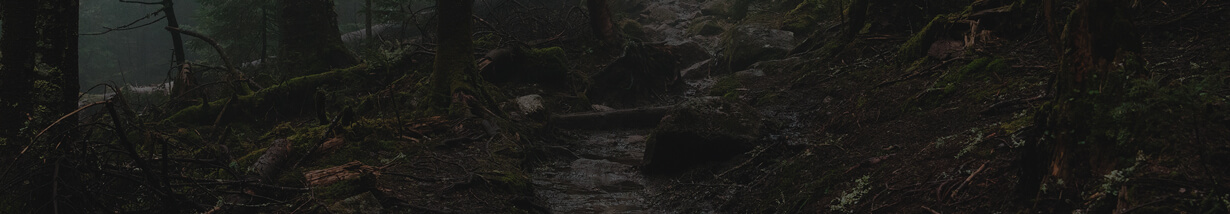 Rugged Terrain Banner