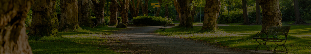 Firm Terrain Banner