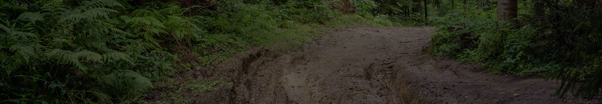 Soft Terrain Banner