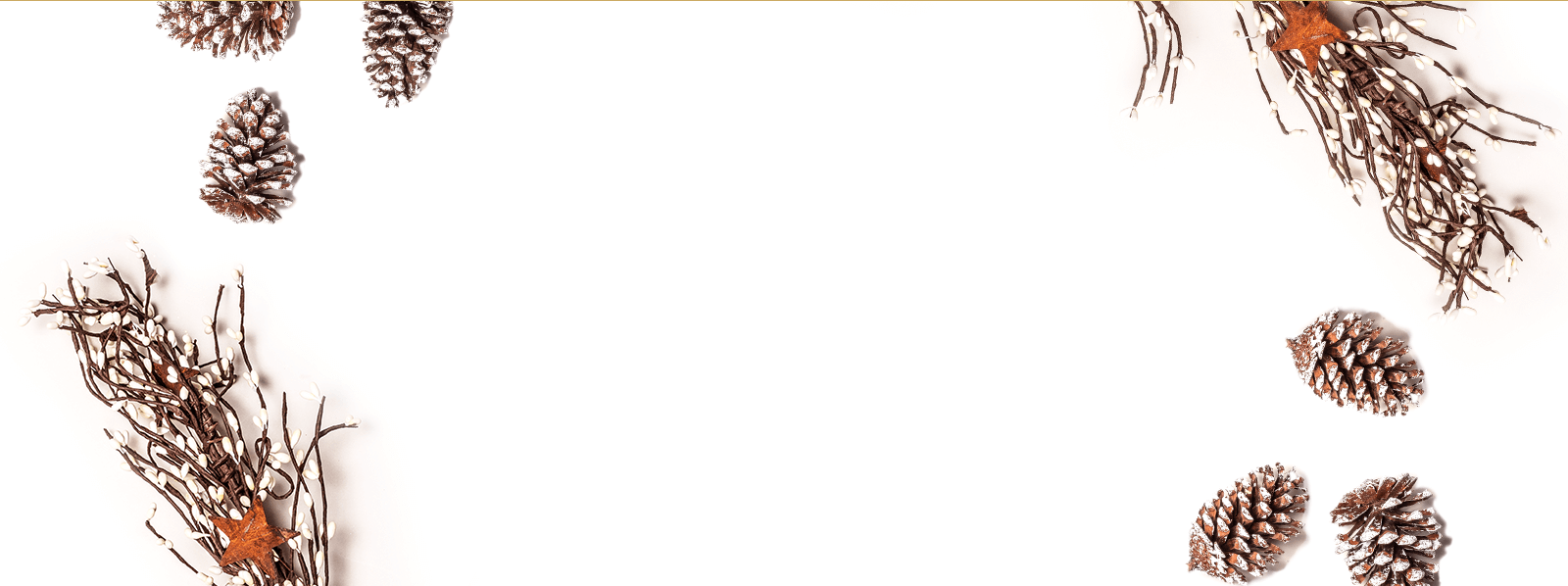 Black Friday Offers