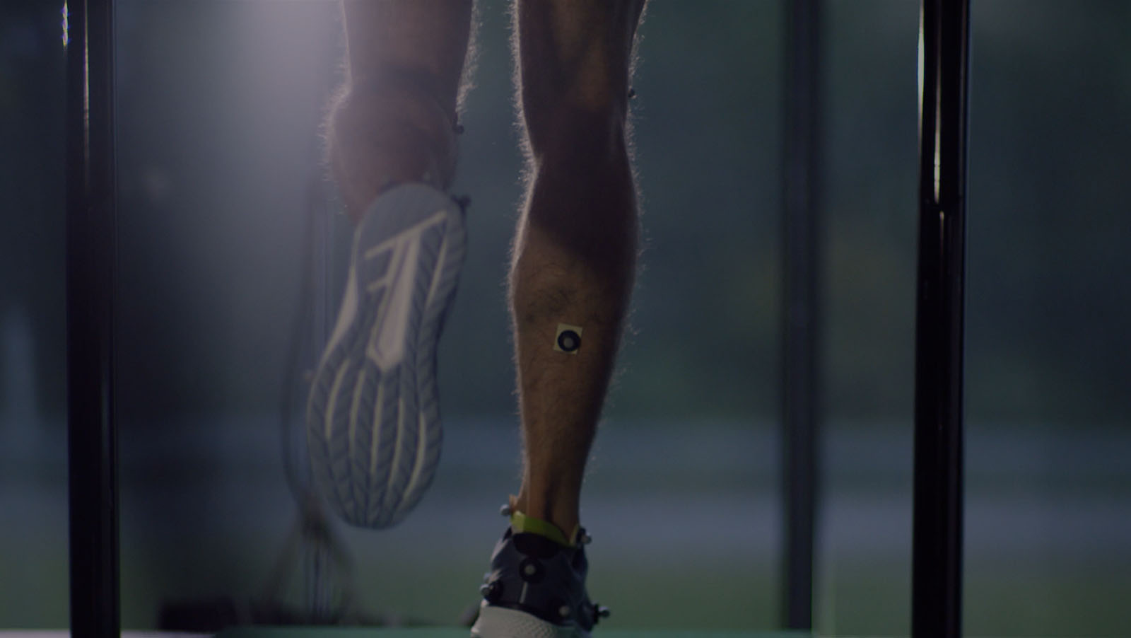 Saucony everun 2017 online