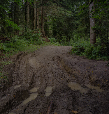 Soft Terrain