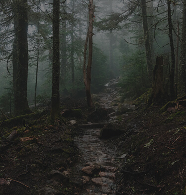 Rugged Terrain