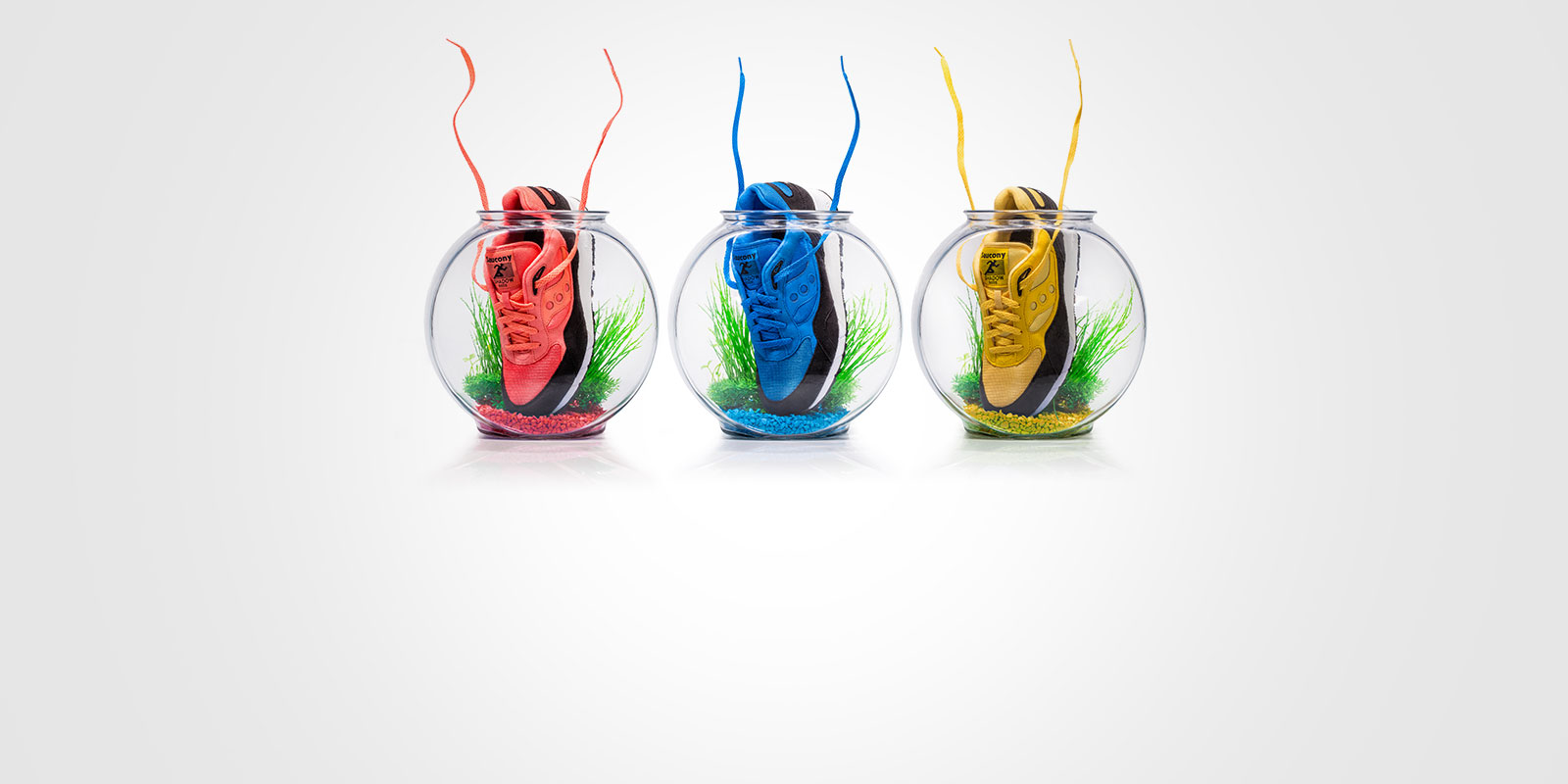 Betta Pack