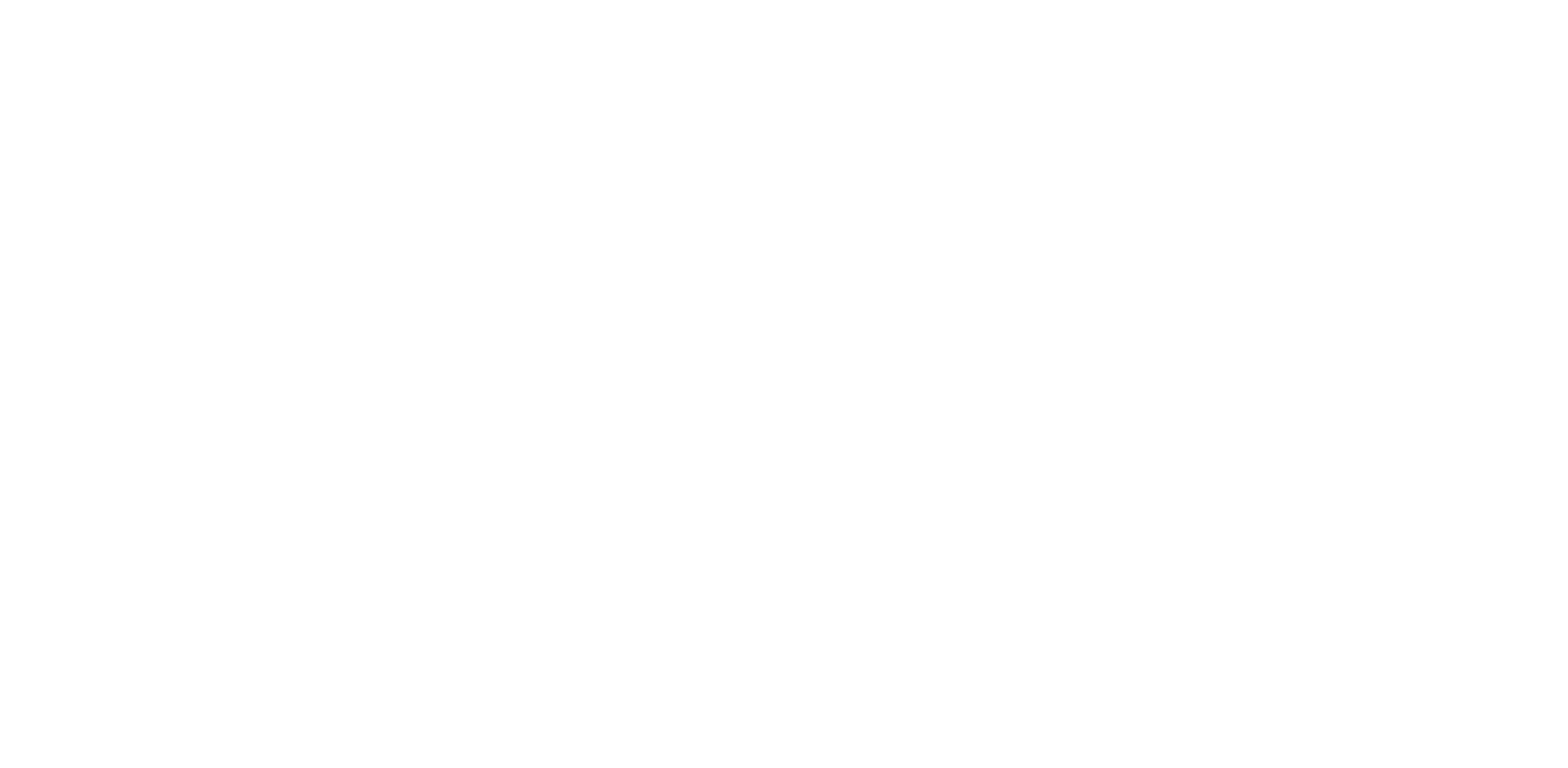 Love: Dr. Susan Love Foundation for breast cancer research
