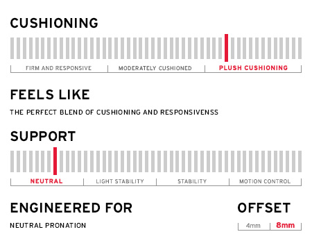 RIDE 6 INFOGRAPH