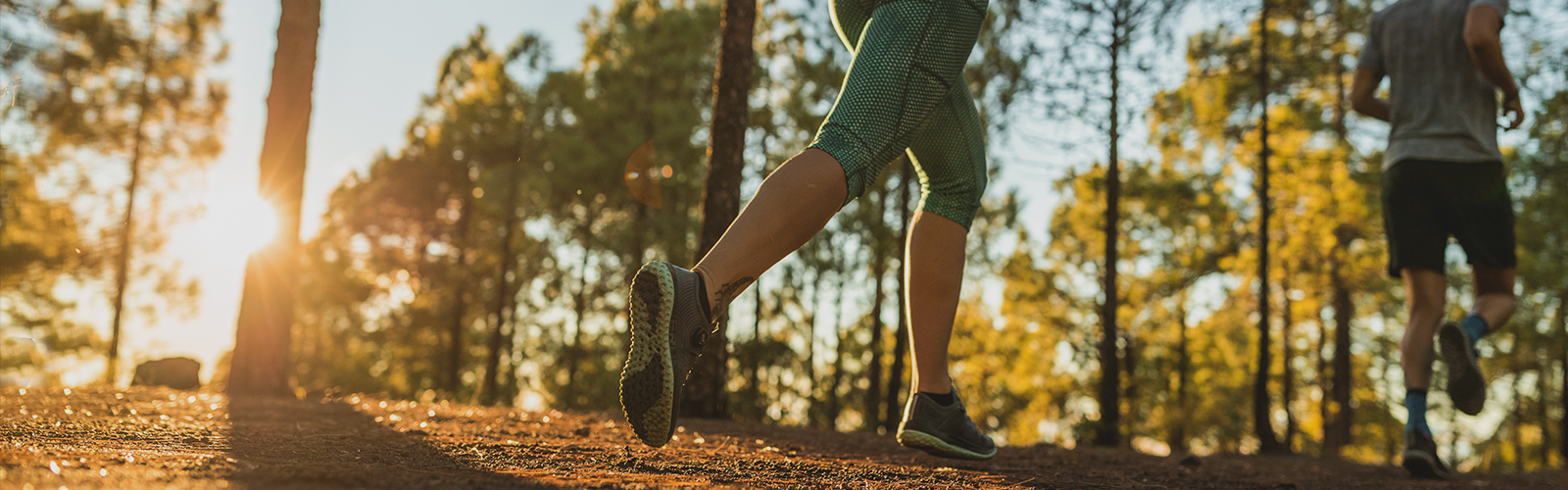 People running on a trail in the woods, on a summer morning with the sun coming thru the trees.